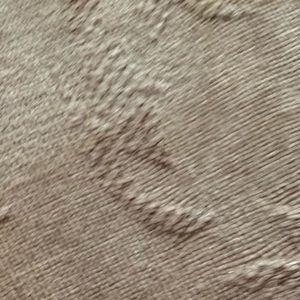 Meet your Posher, Mia